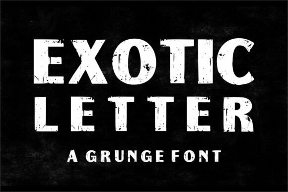 Exotic Letter: Bold Grunge Display Font for Edgy Brand Identity